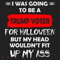 Funny Trump Voter Halloween Costume Hat thumb 2