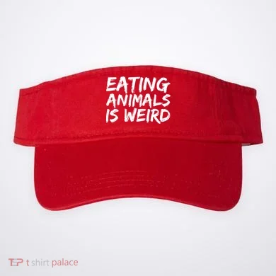 Visor