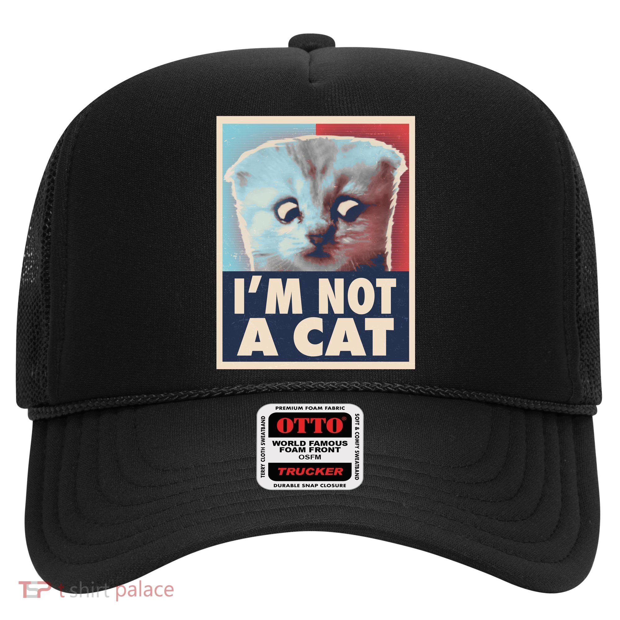 Funny Vintage I'm Not A Cat Zoom Lawyer Cat Meme Hat