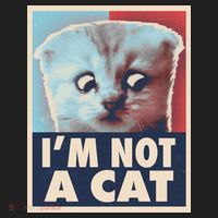 Funny Vintage I'm Not A Cat Zoom Lawyer Cat Meme Hat thumb 2