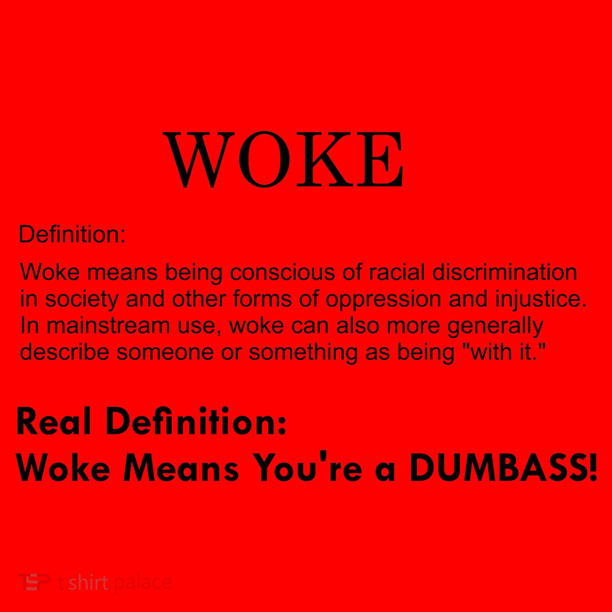 Funny Woke Real Definition Santa Hat