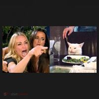 Funny Woman Yelling At Cat Meme  Apron thumb 3