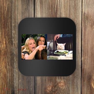 Funny Woman Yelling At Cat Meme  Coaster