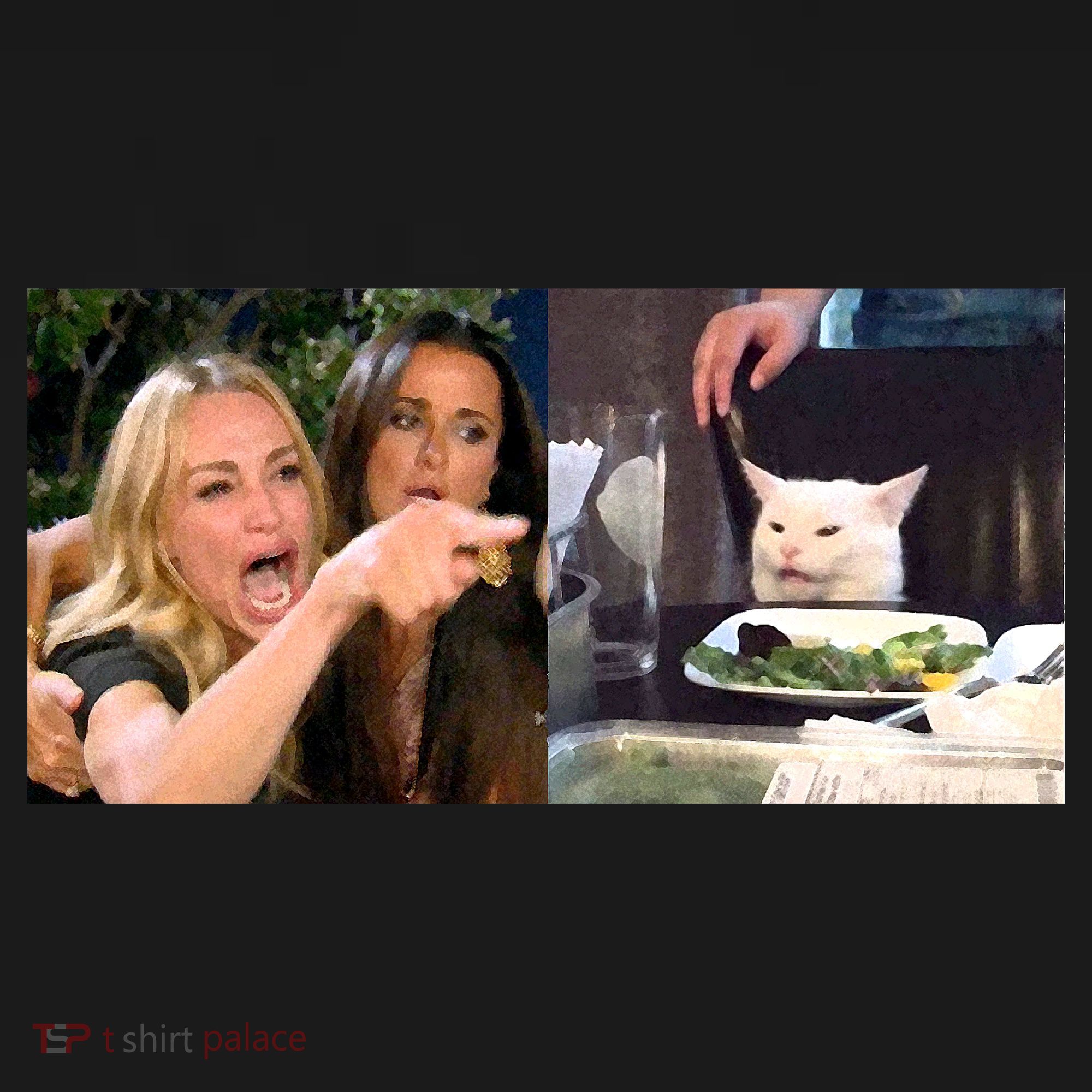 Funny Woman Yelling At Cat Meme  Coaster
