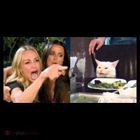 Funny Woman Yelling At Cat Meme  Women's Hoodie thumb 2