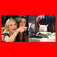 Funny Woman Yelling At Cat Meme  Santa Hat thumb 1