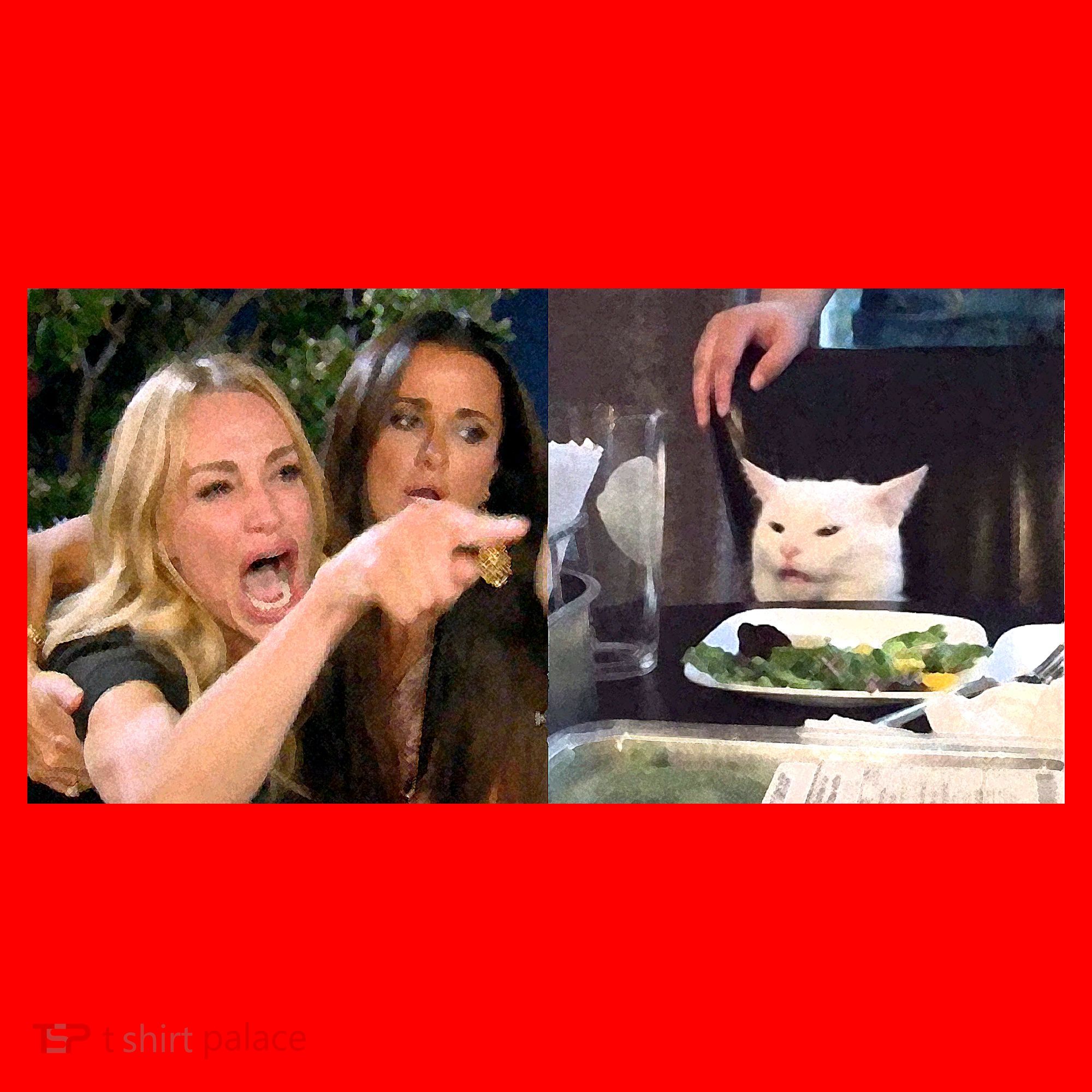 Funny Woman Yelling At Cat Meme  Santa Hat