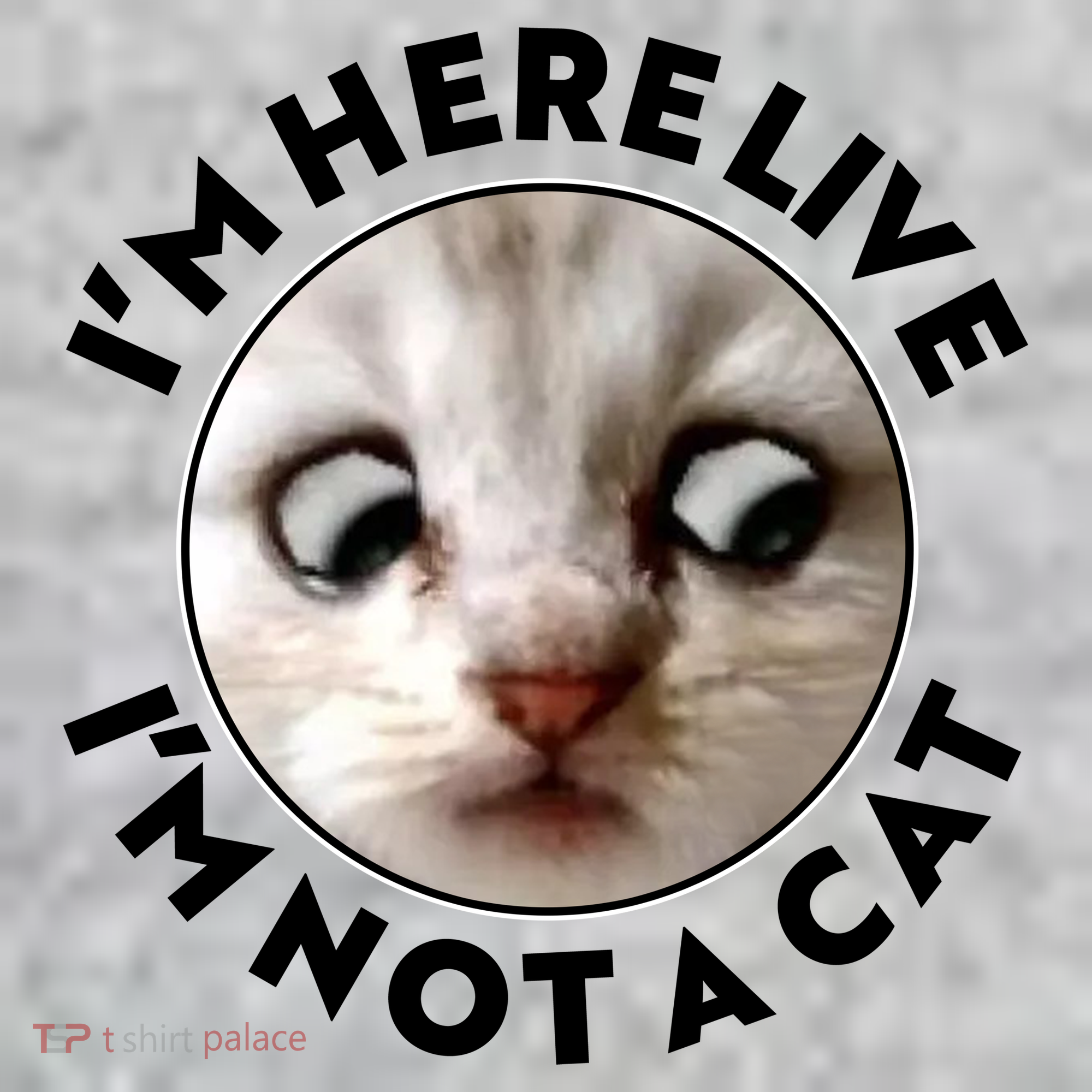 Funny Zoom Lawyer Cat Meme I'm Here Live I'm Not A Cat The Baniff Cuffed Pom Beanie