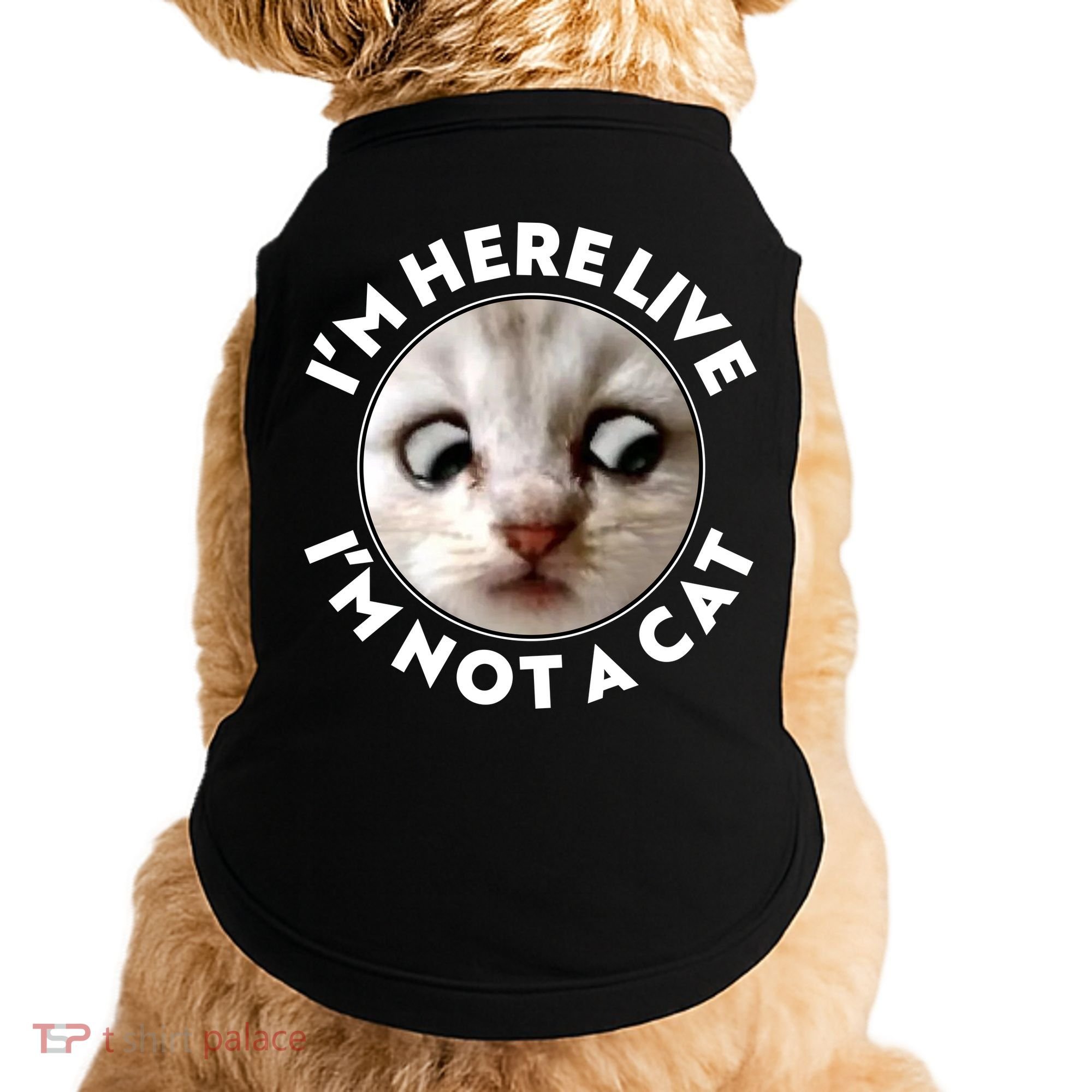Funny Zoom Lawyer Cat Meme I'm Here Live I'm Not A Cat Doggie Tank