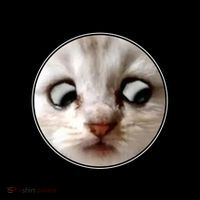 Funny Zoom Lawyer Cat Meme I'm Here Live I'm Not A Cat Coffee Mug thumb 5
