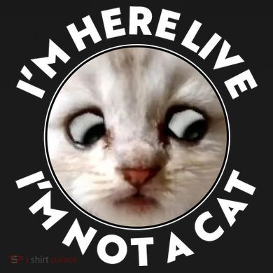 Funny Zoom Lawyer Cat Meme I'm Here Live I'm Not A Cat Women's Hoodie