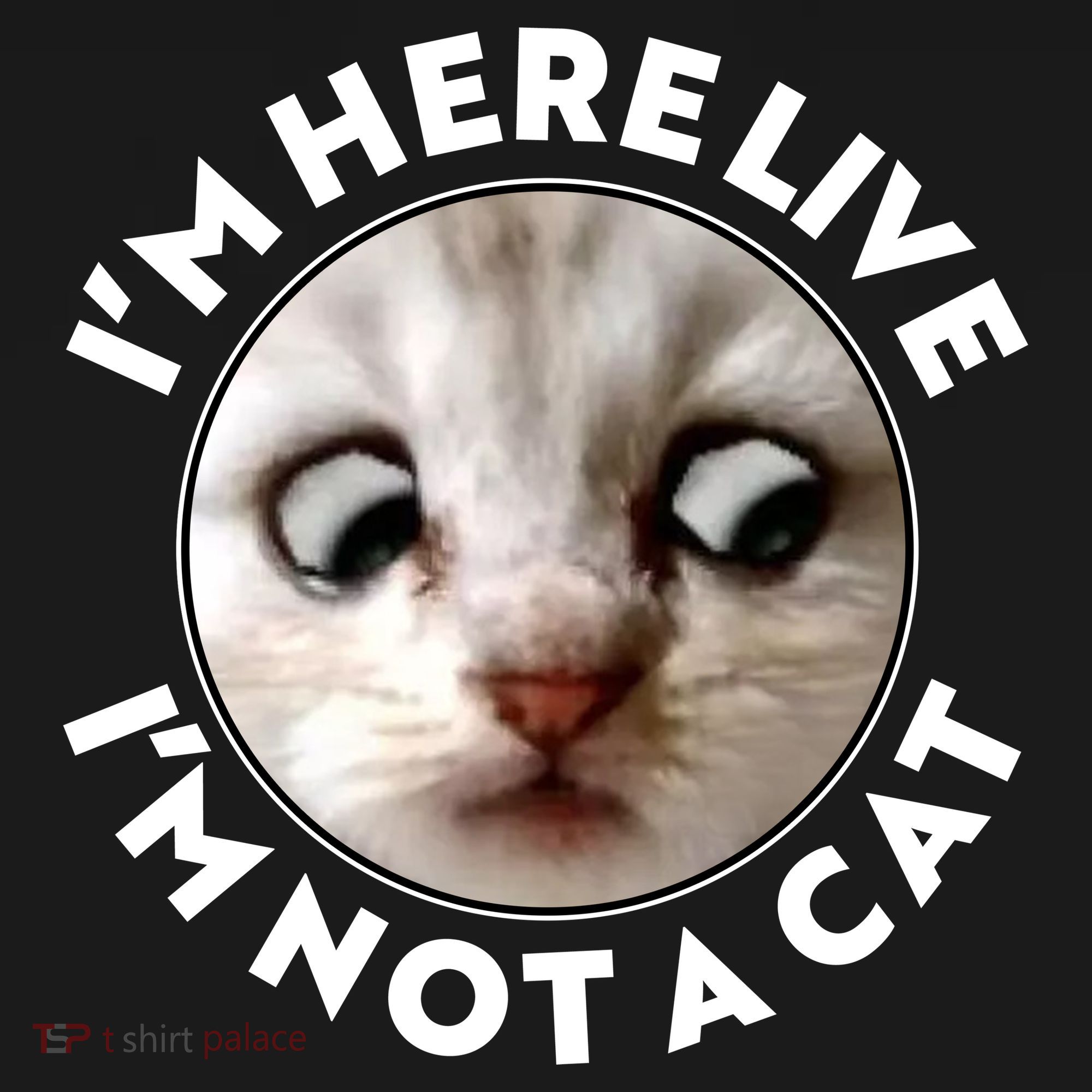 Funny Zoom Lawyer Cat Meme I'm Here Live I'm Not A Cat Women's Hoodie