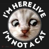 Funny Zoom Lawyer Cat Meme I'm Here Live I'm Not A Cat Women's Tank Top thumb 5
