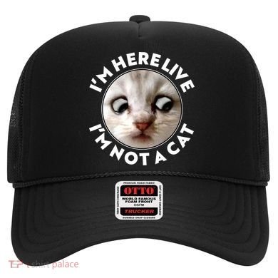 Funny Zoom Lawyer Cat Meme I'm Here Live I'm Not A Cat Hat