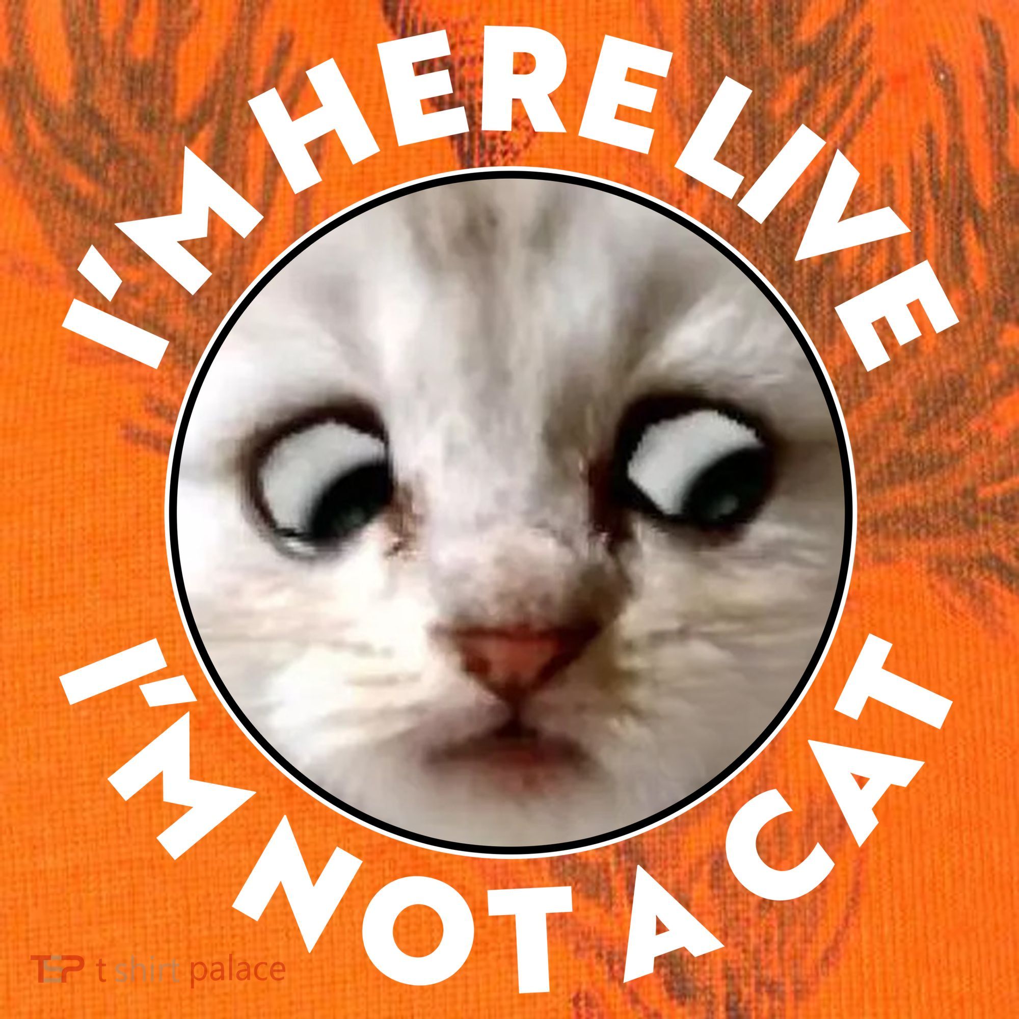 Funny Zoom Lawyer Cat Meme I'm Here Live I'm Not A Cat Kati Licensed 12" Camo Cuffed Beanie