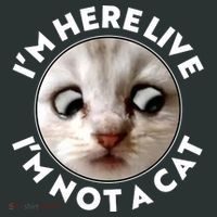 Funny Zoom Lawyer Cat Meme I'm Here Live I'm Not A Cat T-Shirt thumb 7