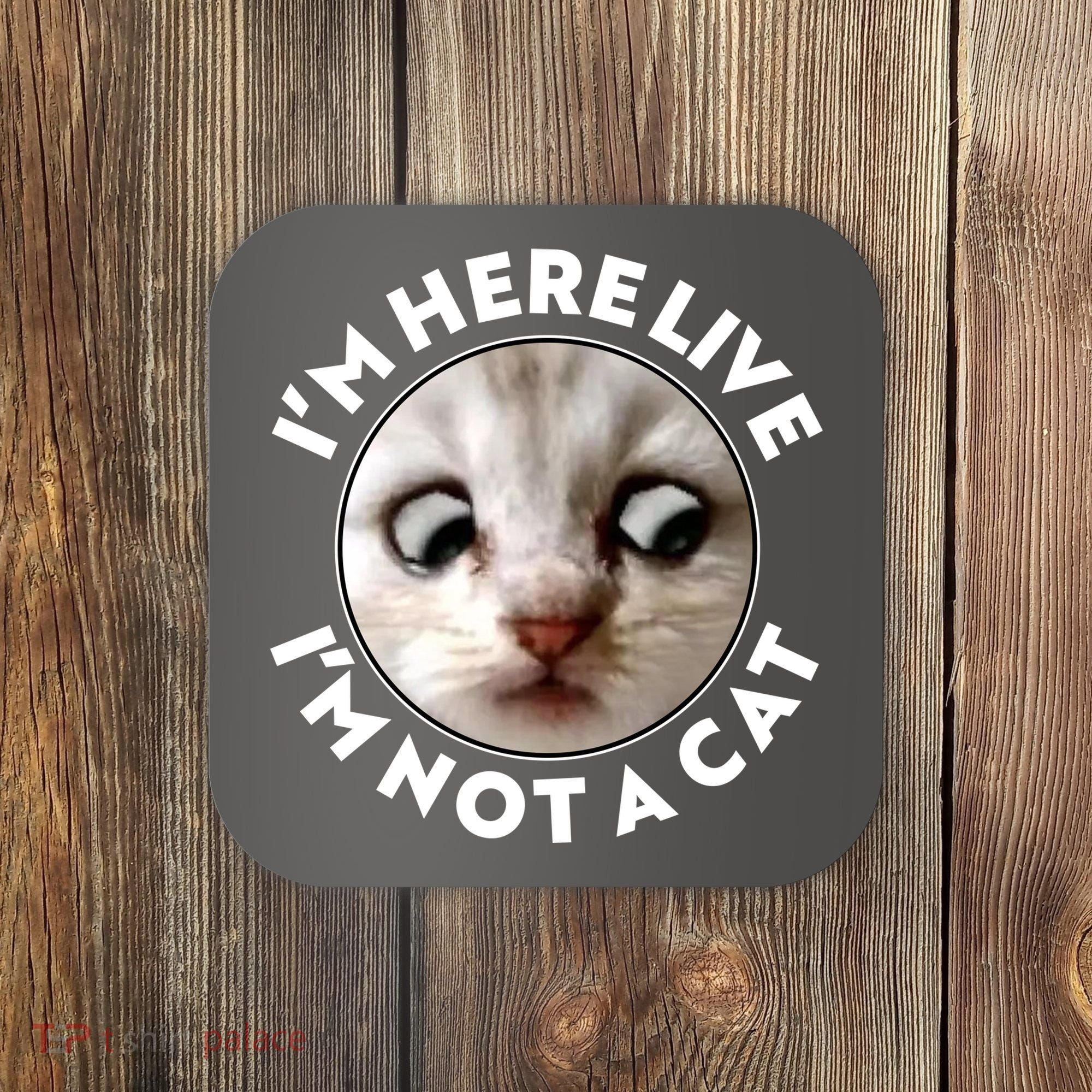 Funny Zoom Lawyer Cat Meme I'm Here Live I'm Not A Cat Coaster