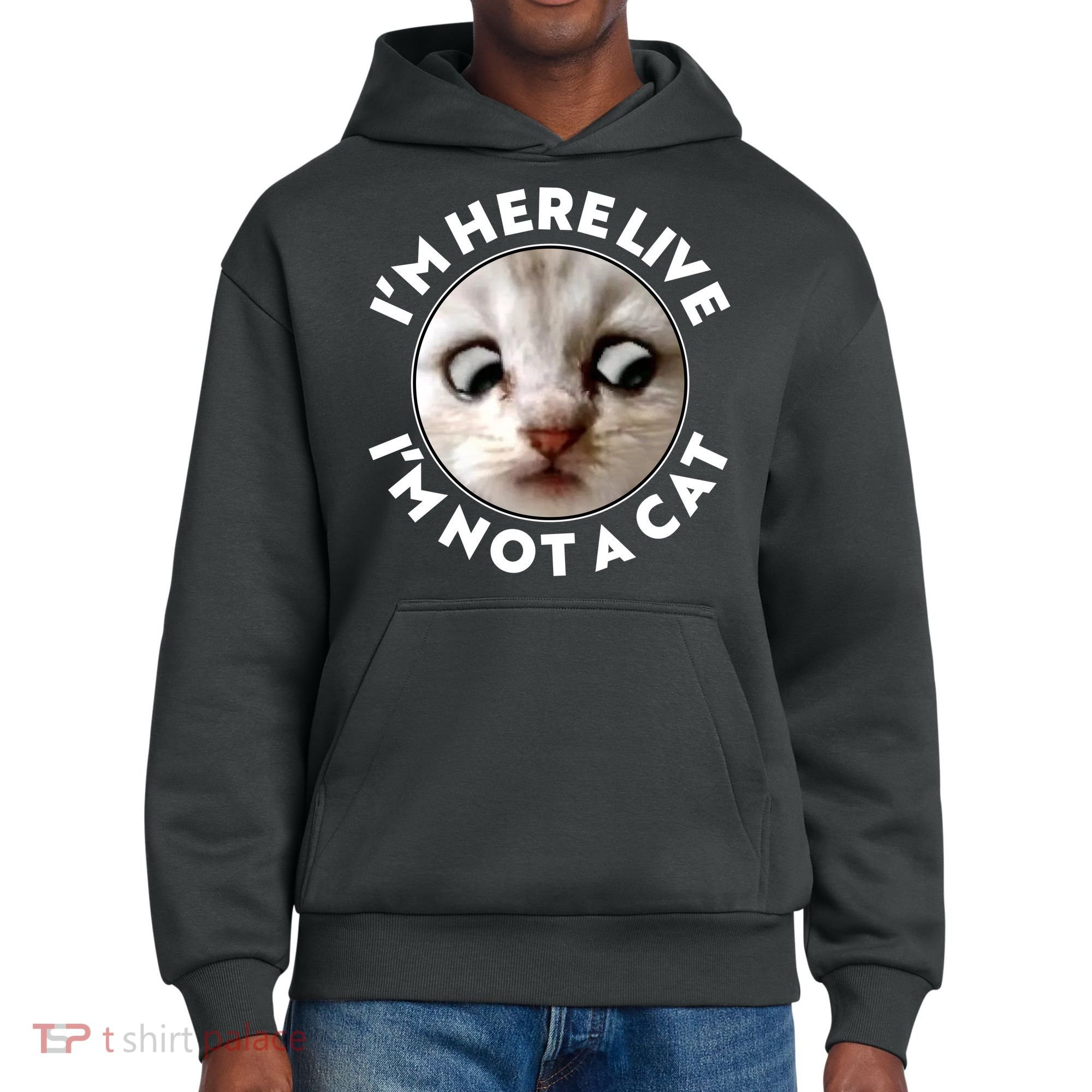 Funny Zoom Lawyer Cat Meme I'm Here Live I'm Not A Cat District V.I.T. Heavyweight Hoodie