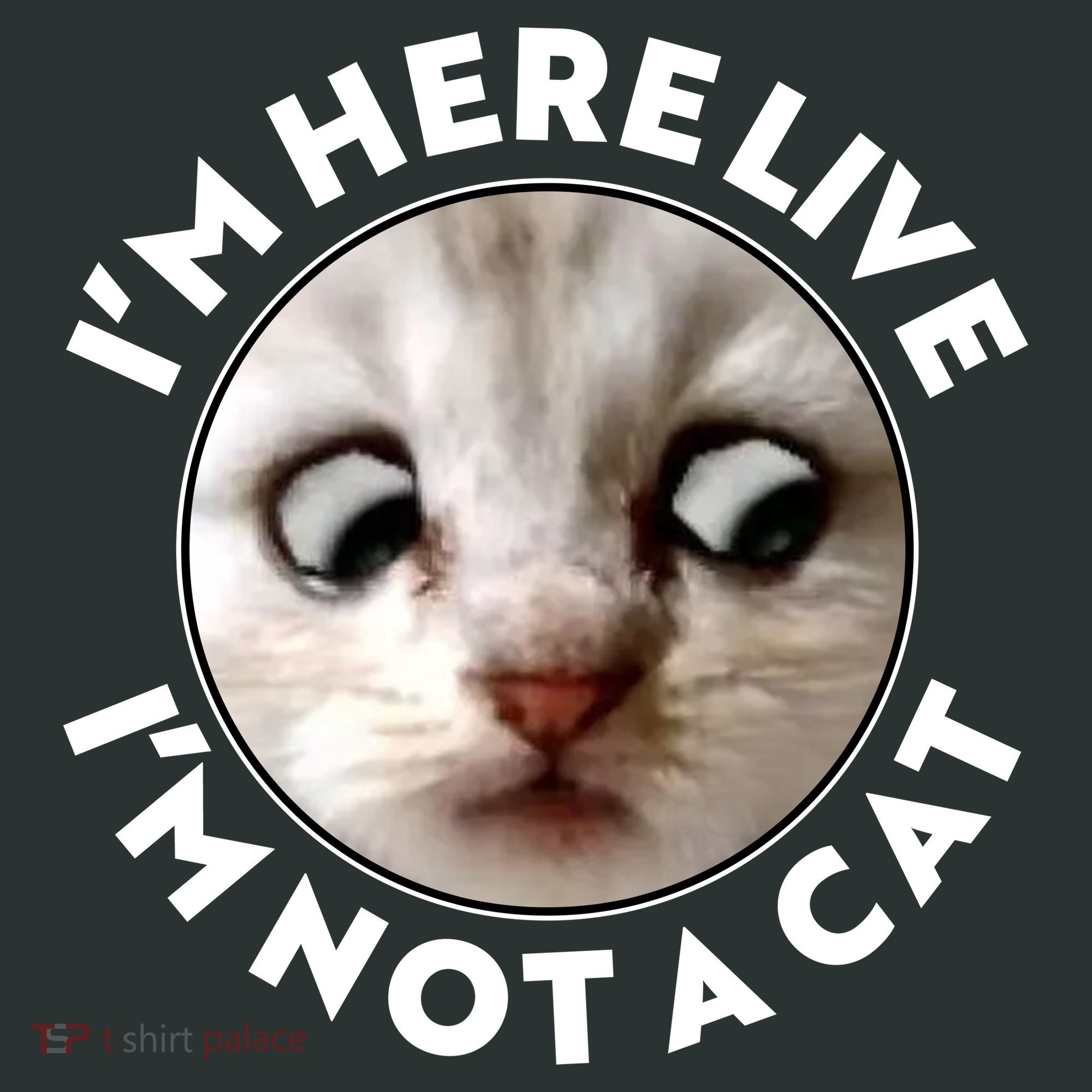 Funny Zoom Lawyer Cat Meme I'm Here Live I'm Not A Cat Mousepad