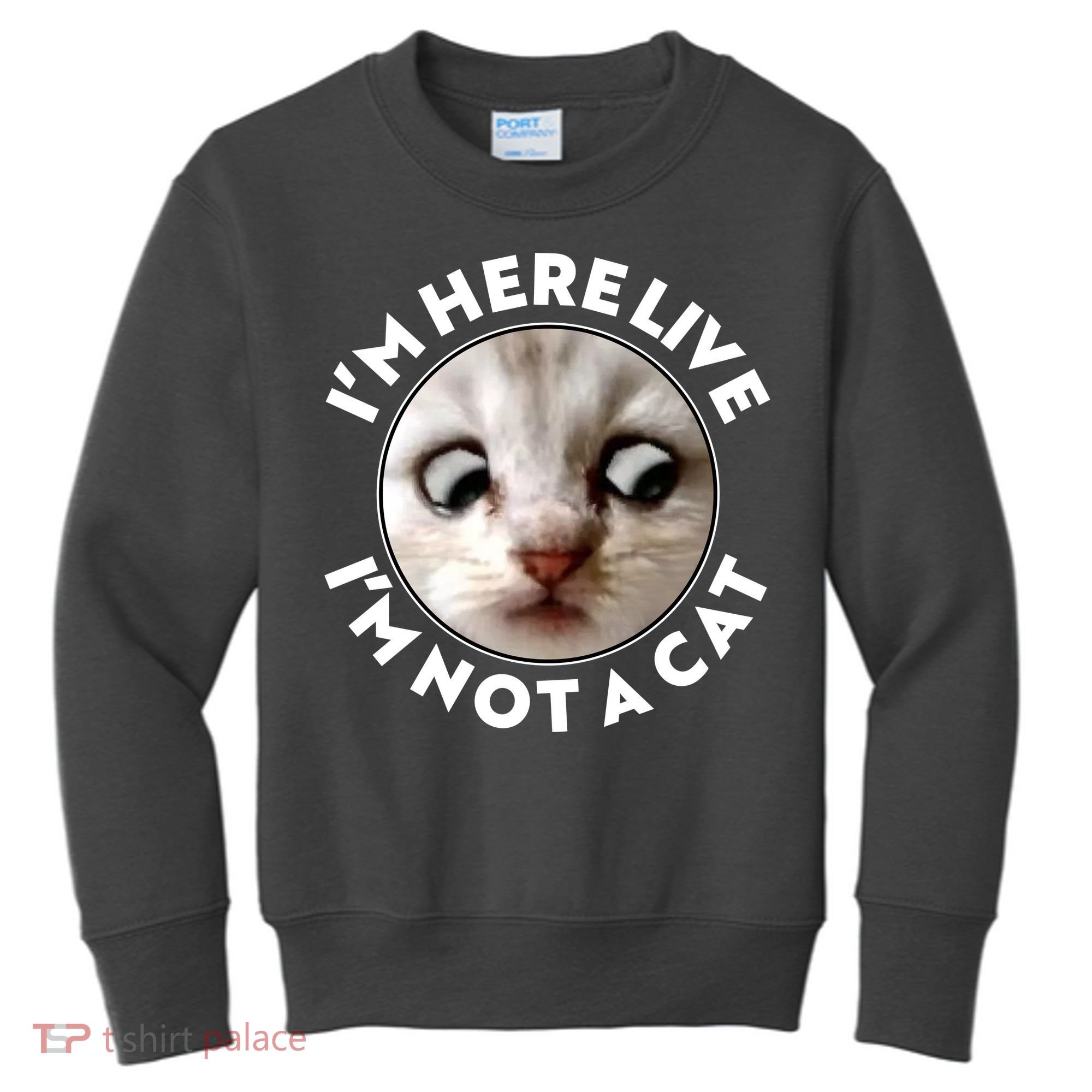 Funny Zoom Lawyer Cat Meme I'm Here Live I'm Not A Cat Kids Sweatshirt