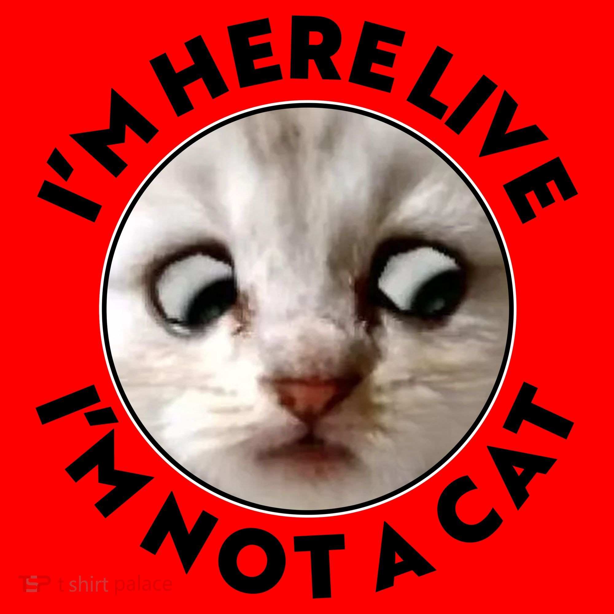 Funny Zoom Lawyer Cat Meme I'm Here Live I'm Not A Cat Santa Hat