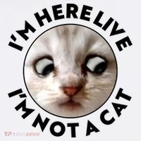 Funny Zoom Lawyer Cat Meme I'm Here Live I'm Not A Cat Comfort Colors Garment-Dyed Hooded Sweatshirt thumb 2