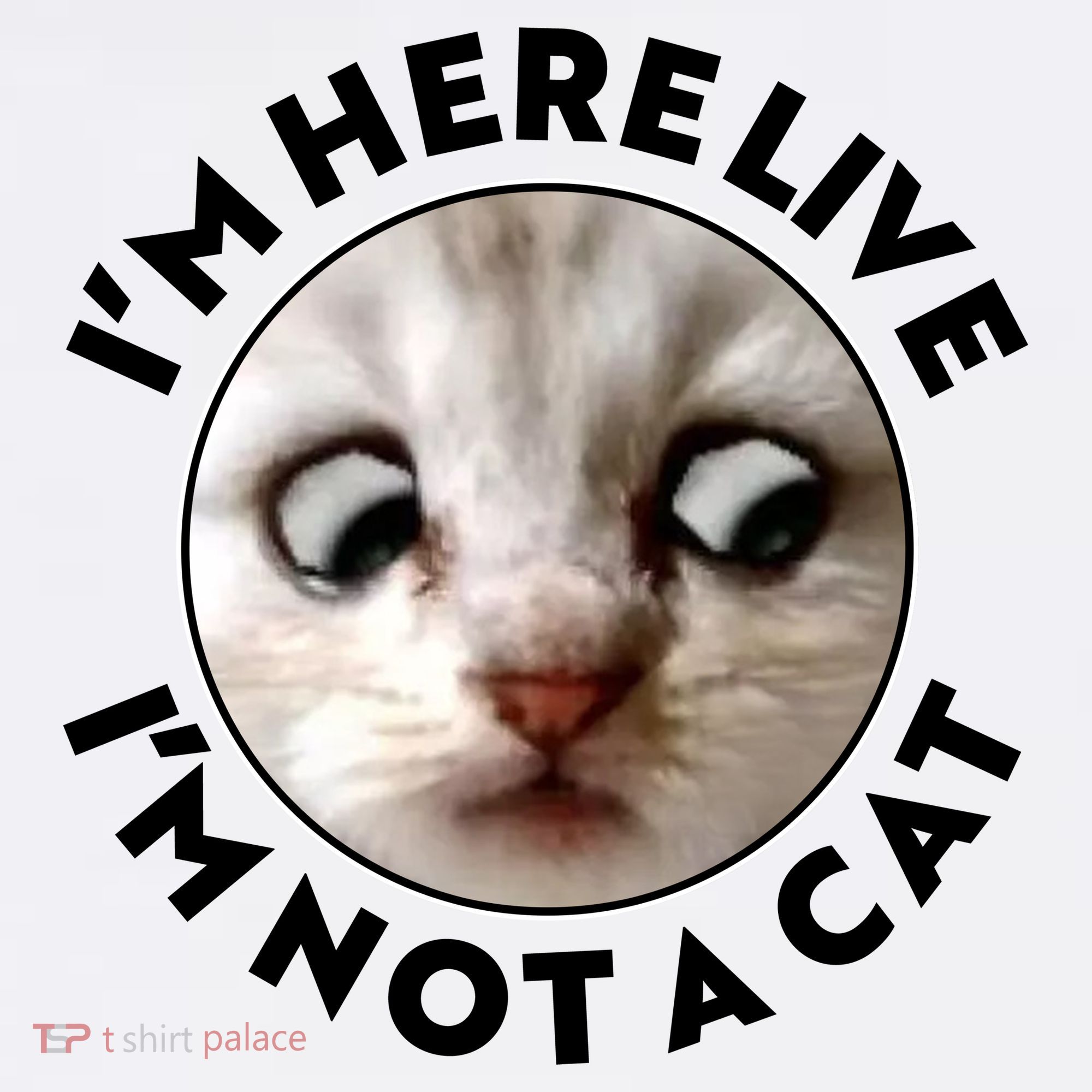 Funny Zoom Lawyer Cat Meme I'm Here Live I'm Not A Cat Comfort Colors Garment-Dyed Hooded Sweatshirt