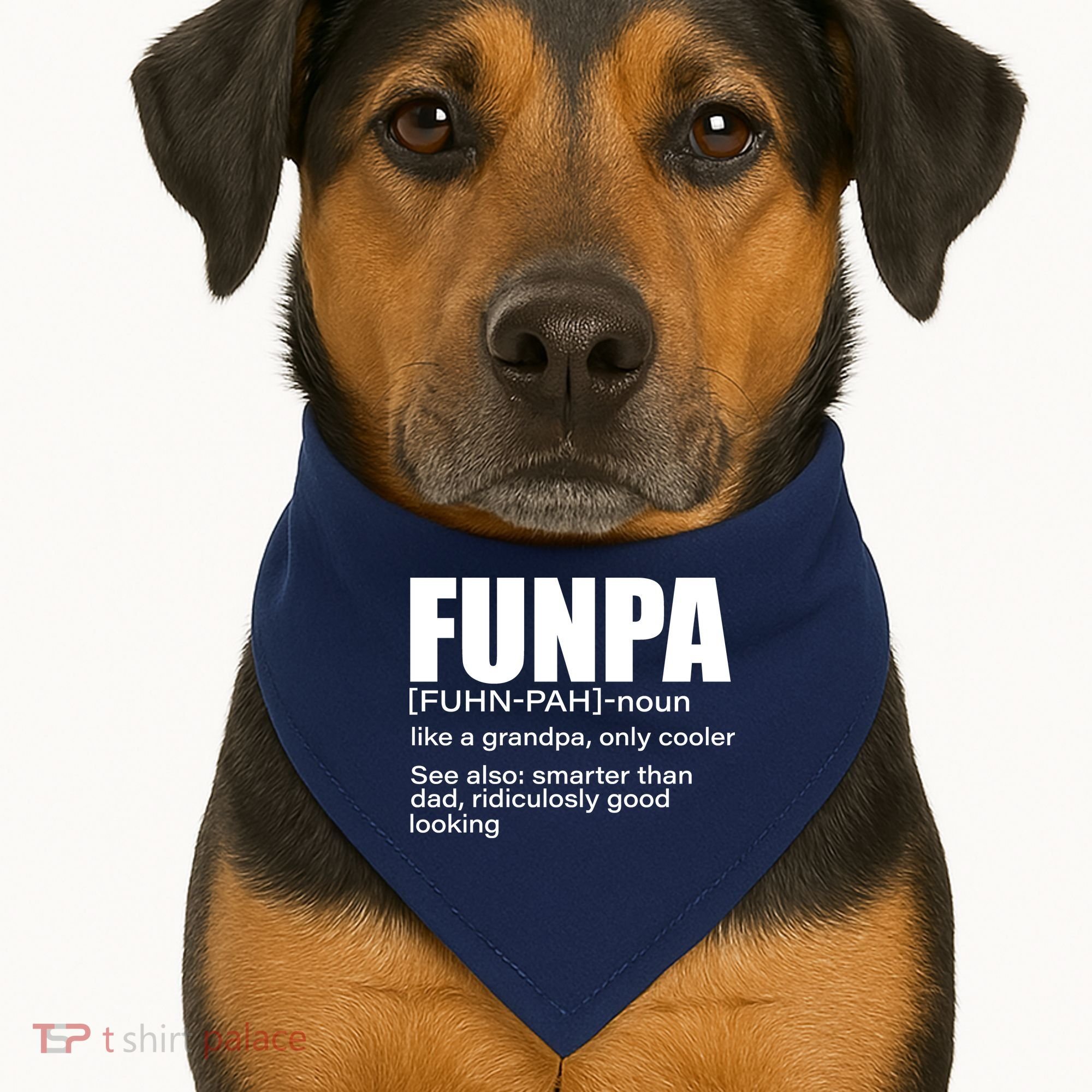 Funpa Definition  USA-Made Doggie Bandana