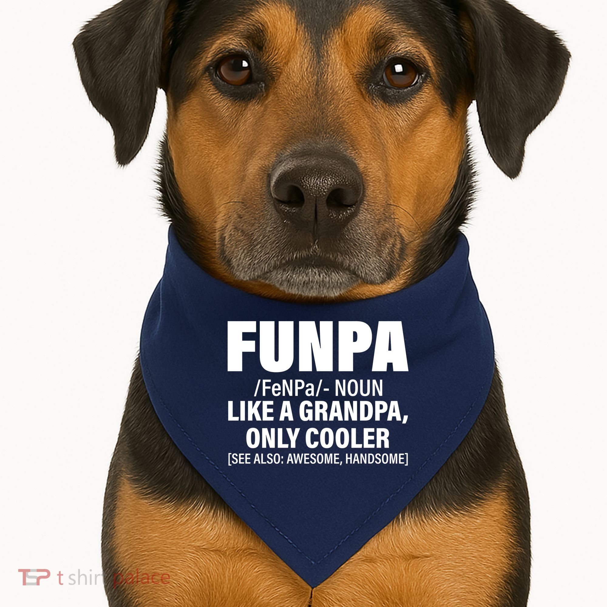 Funpa Like A Grandpa Only Cooler USA-Made Doggie Bandana