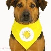 Funshine Bear Halloween Costume USA-Made Doggie Bandana thumb 1