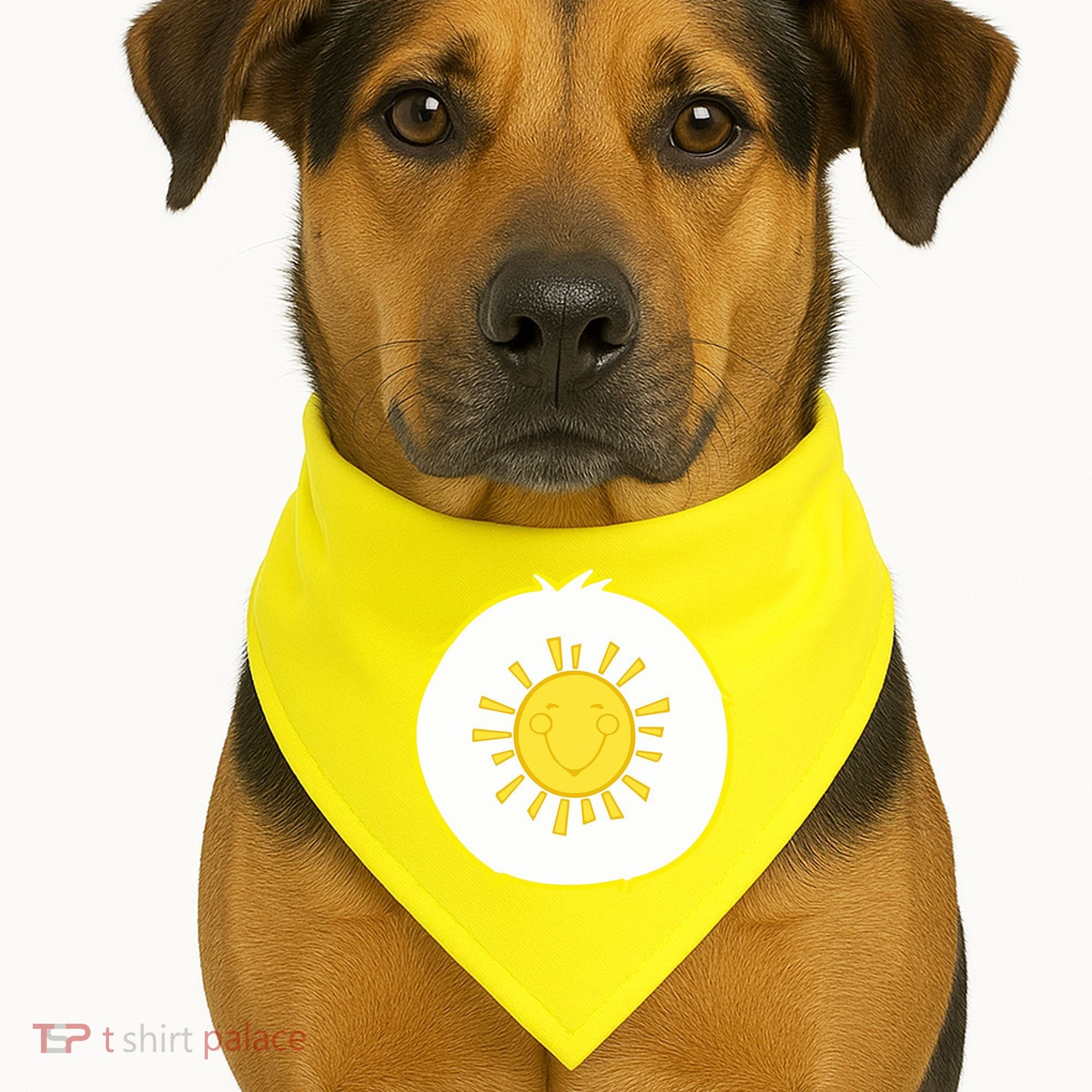 Funshine Bear Halloween Costume USA-Made Doggie Bandana