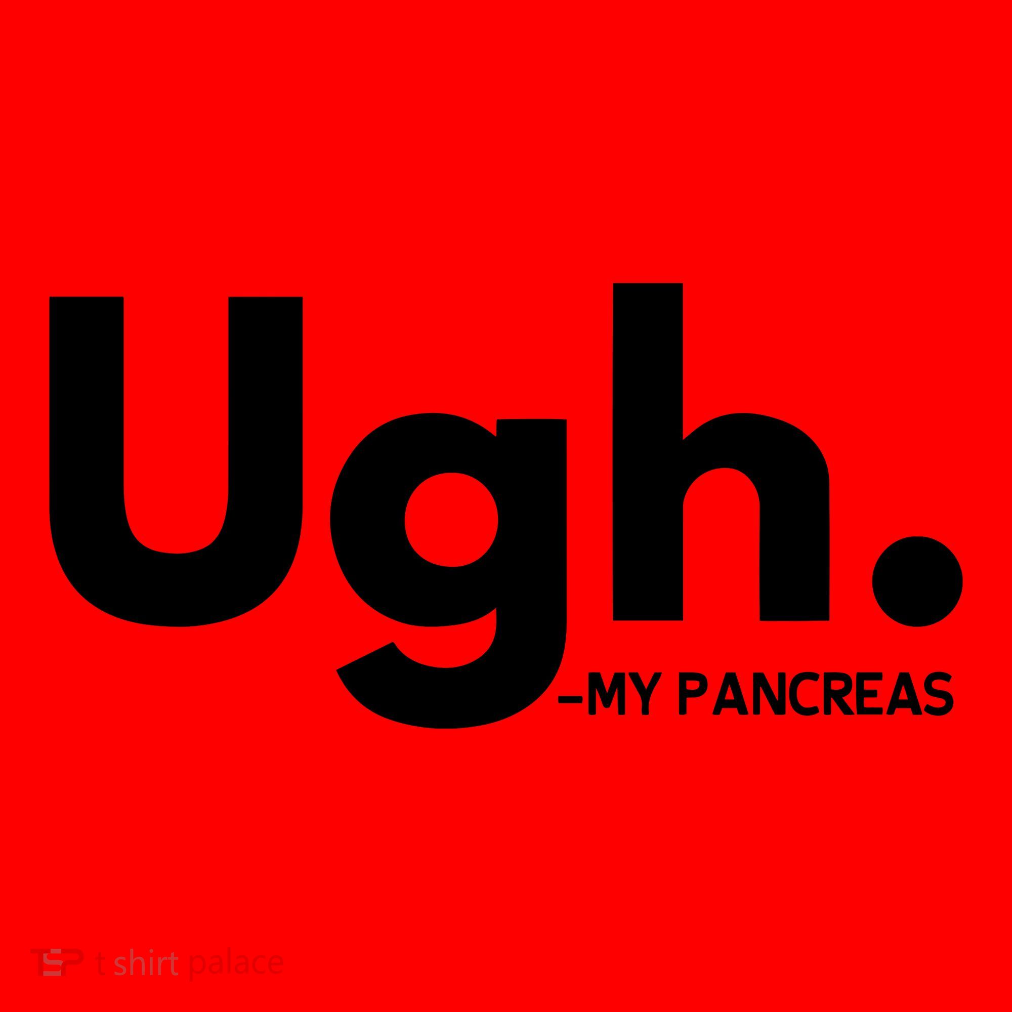 Funny Ugh Pancreas Supporter Santa Hat