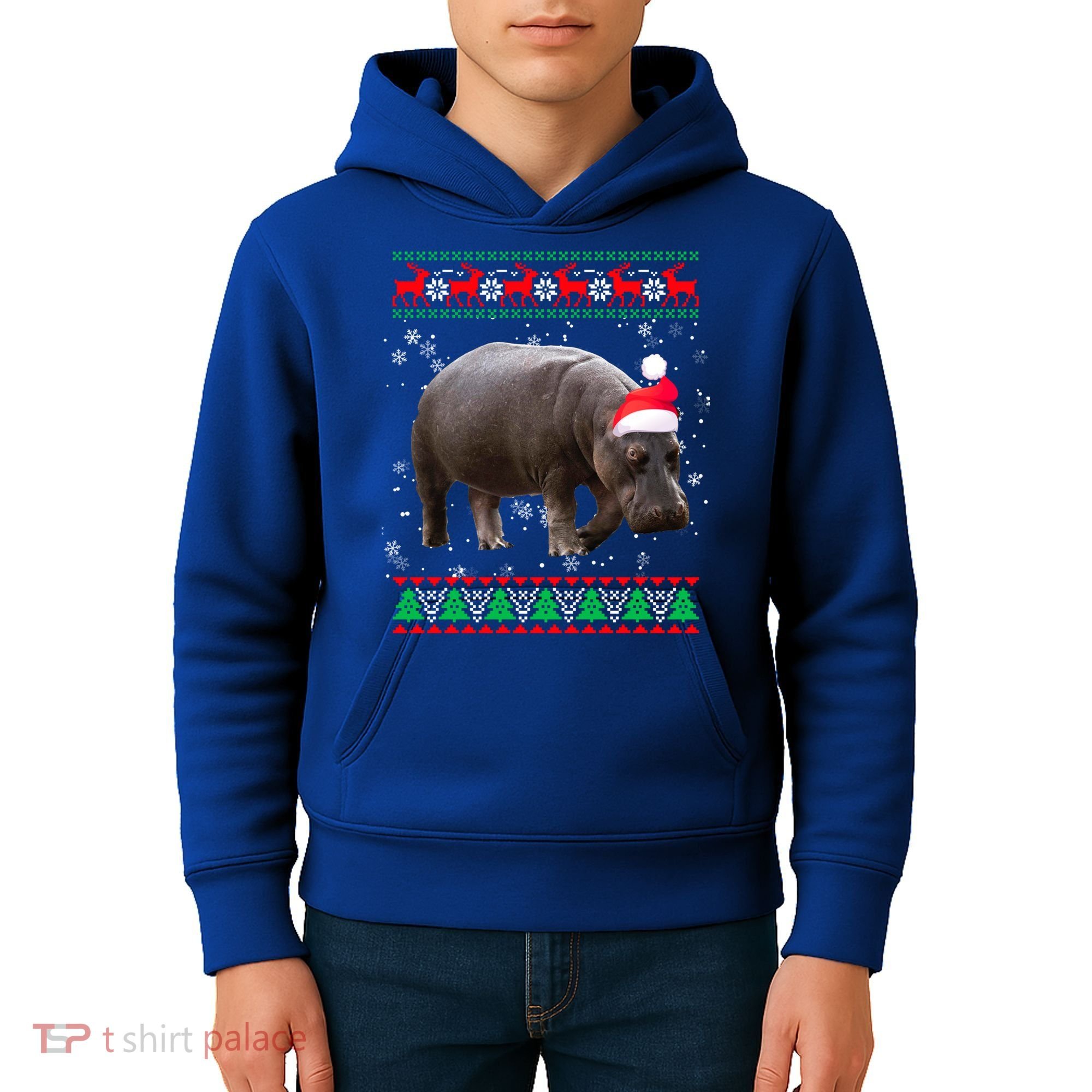 Funny Ugly Sweater Xmas Animals Christmas Hippo Lover Gift Kids Hoodie