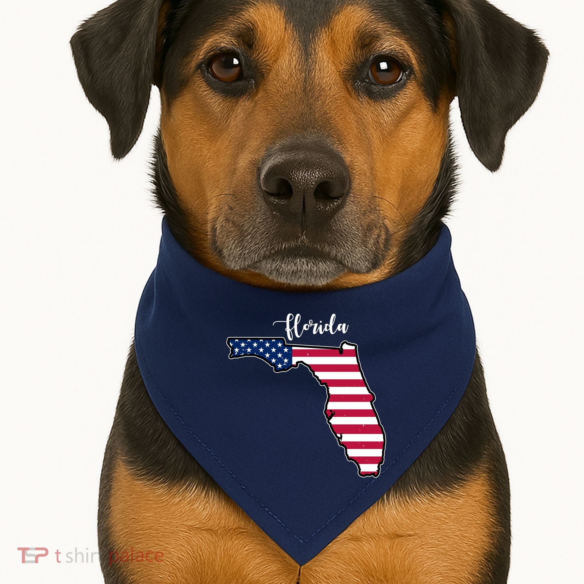 Florida United States Map USA-Made Doggie Bandana