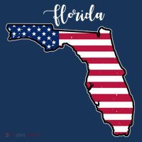 Florida United States Map Toddler Hoodie thumb 2