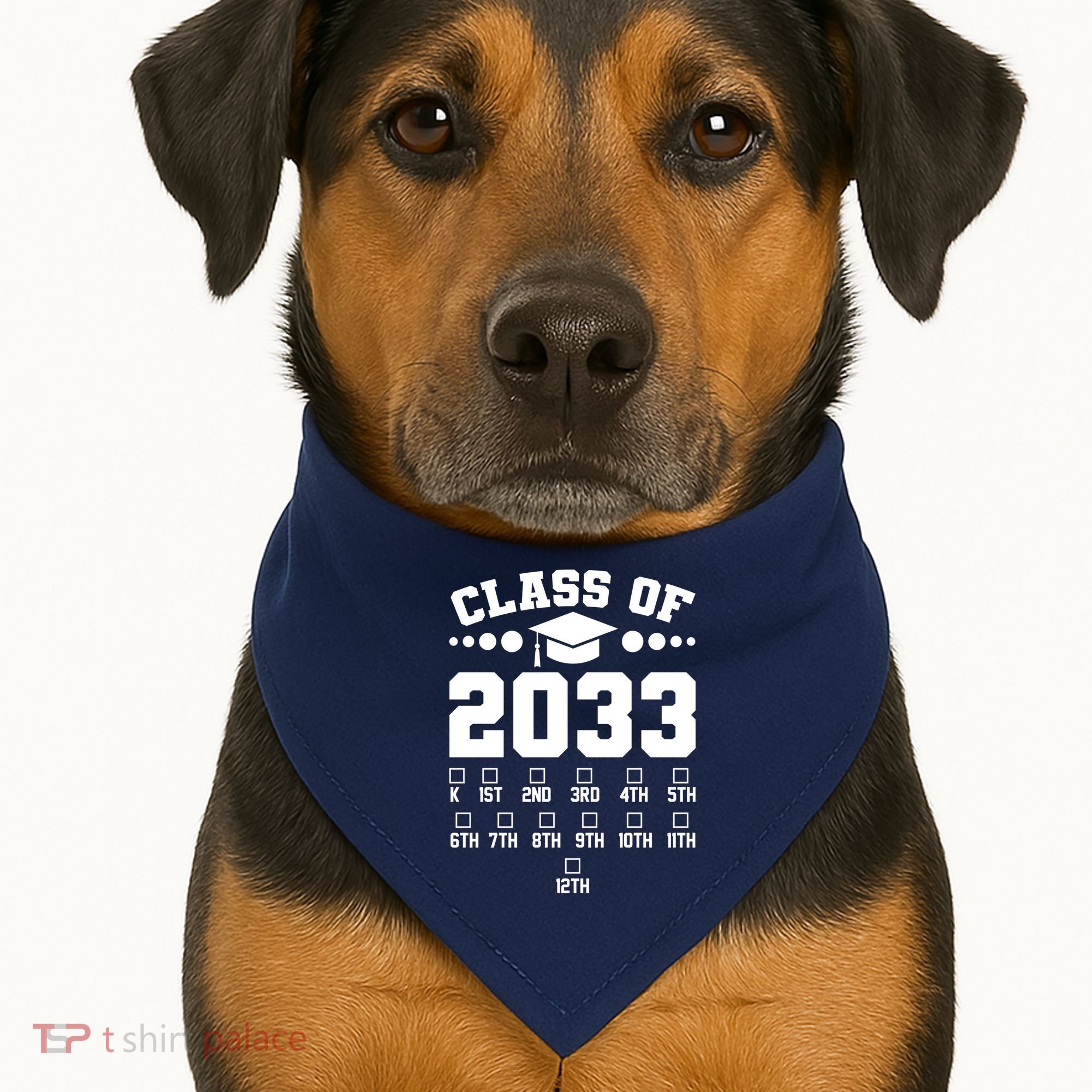 Future Class Of 2033 Check Mark Chart USA-Made Doggie Bandana
