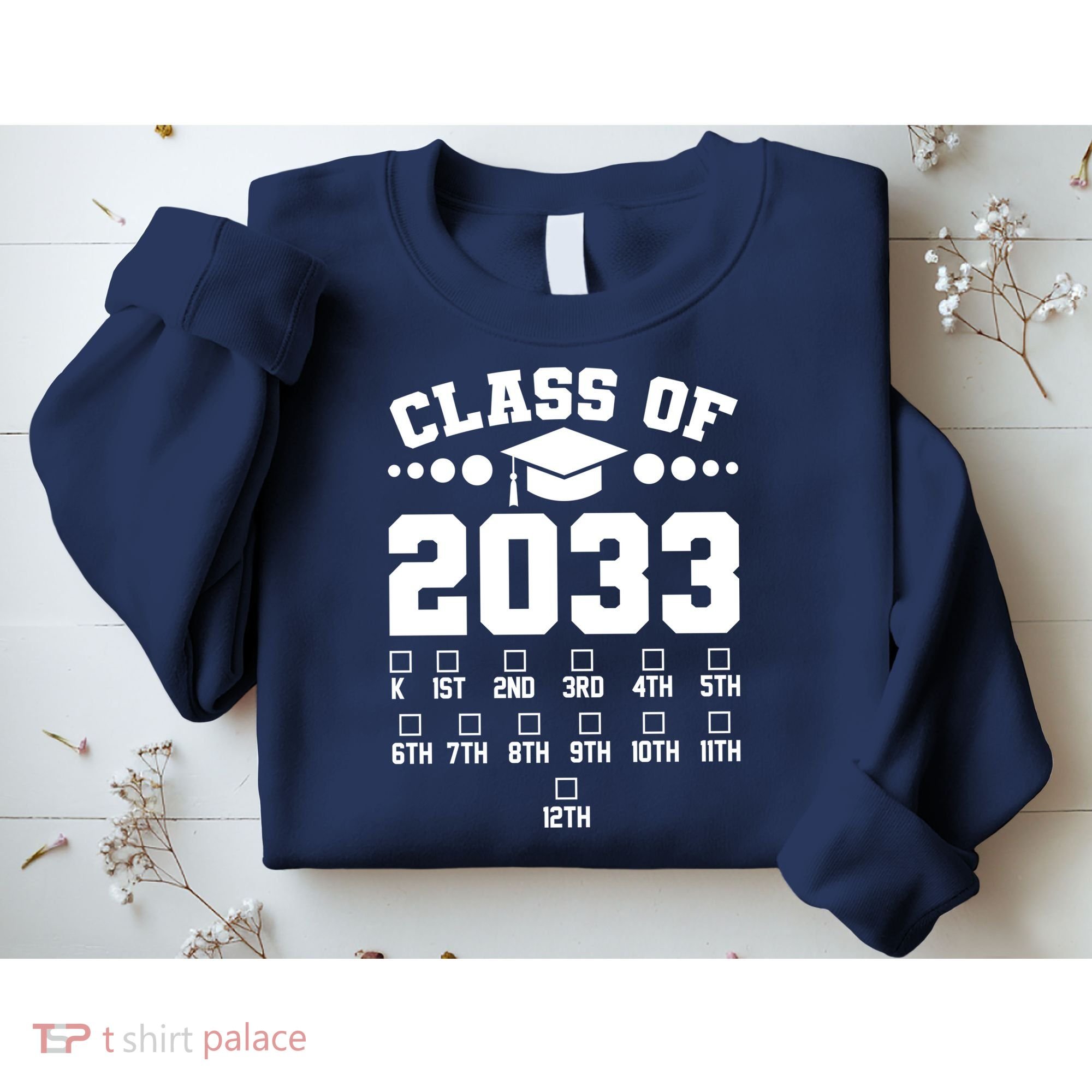 Future Class Of 2033 Check Mark Chart Sweatshirt