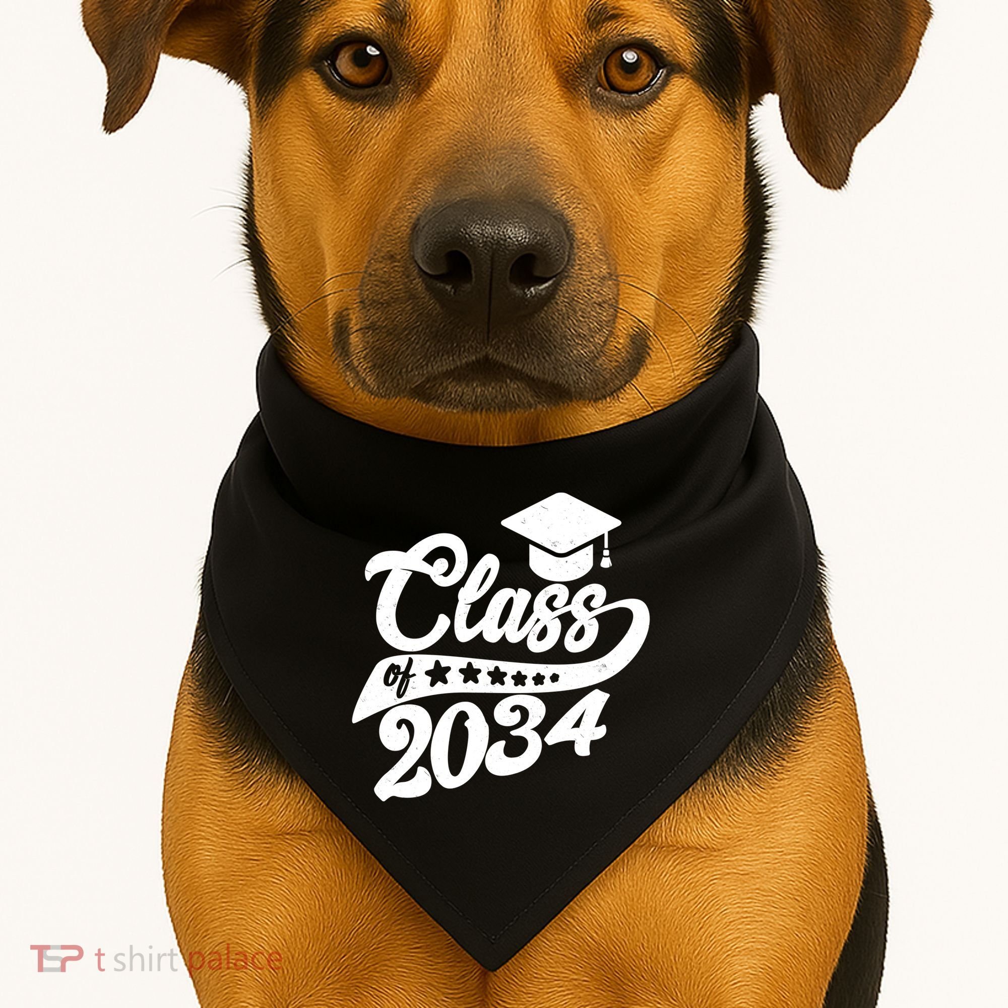 Future Class of 2034 Kindergarten Class USA-Made Doggie Bandana