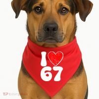 Funny Valentines Day I Heart Love 67 USA-Made Doggie Bandana thumb 1