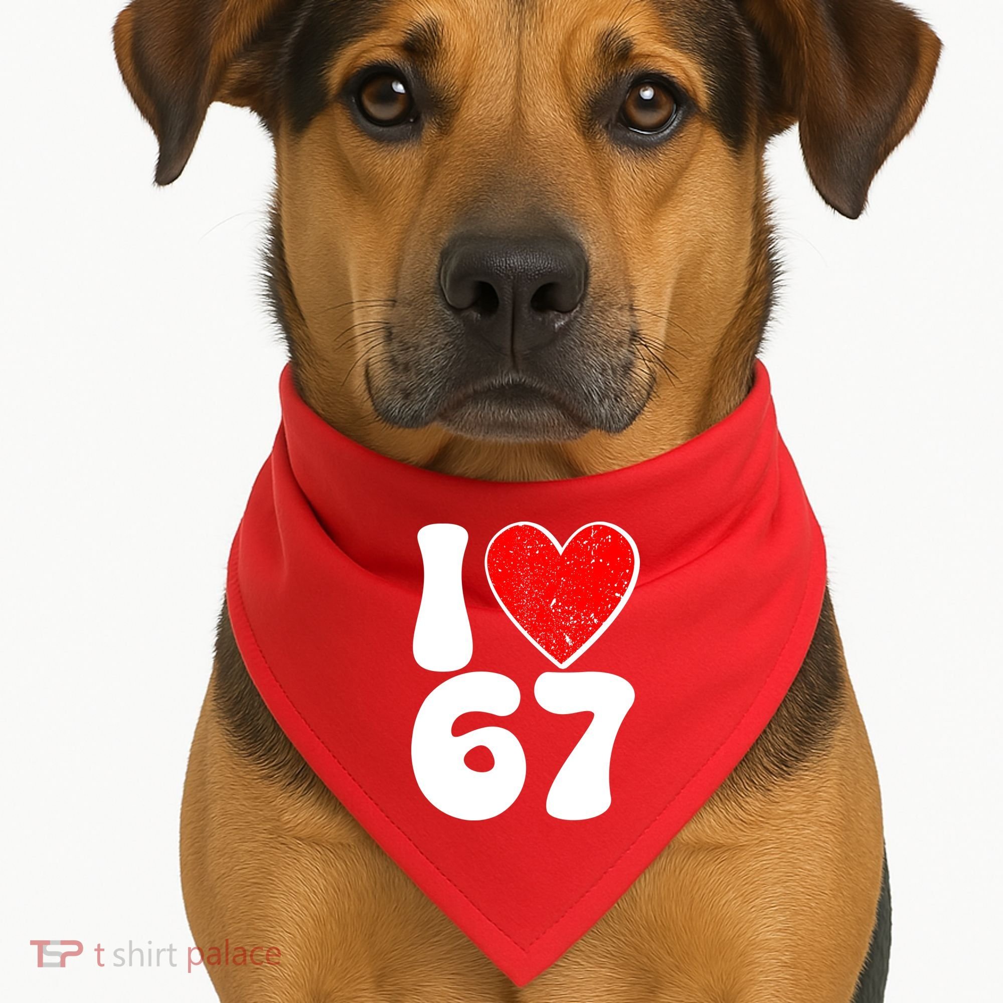 Funny Valentines Day I Heart Love 67 USA-Made Doggie Bandana
