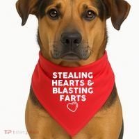 Funny ValentineS Day Stealing Hearts And Blasting Farts USA-Made Doggie Bandana thumb 1