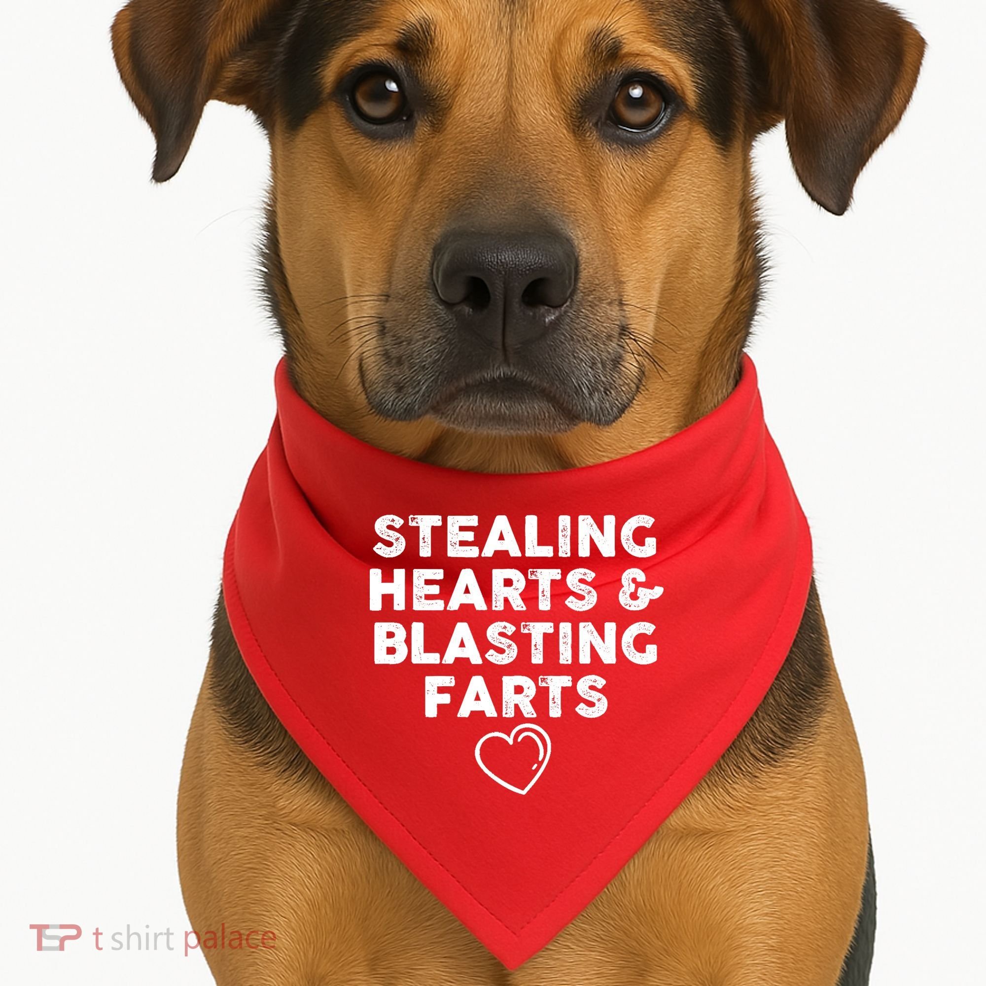 Funny ValentineS Day Stealing Hearts And Blasting Farts USA-Made Doggie Bandana