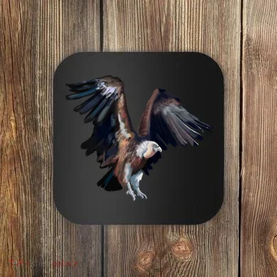 Flying Vulture Coaster