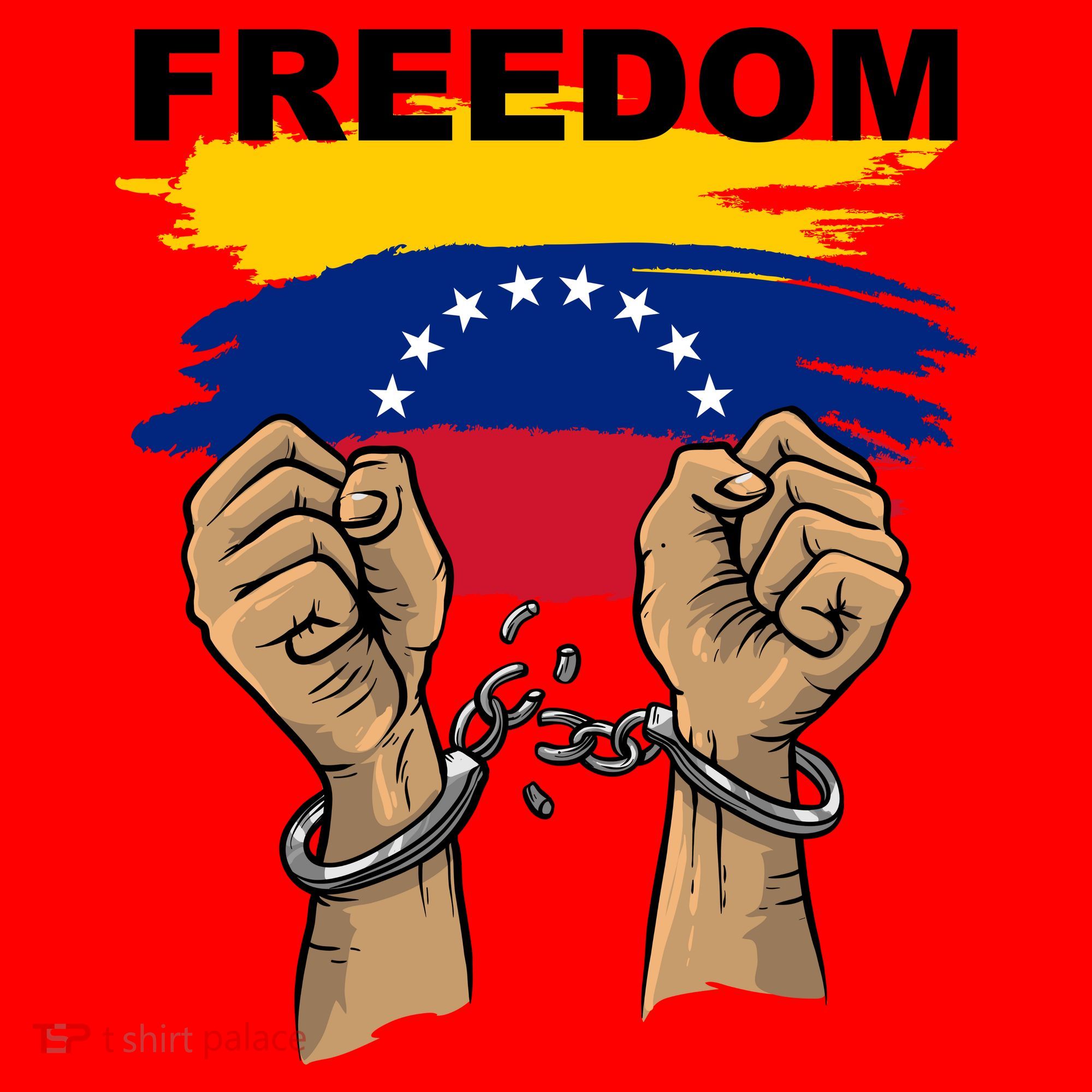 Freedom Venezuela Santa Hat