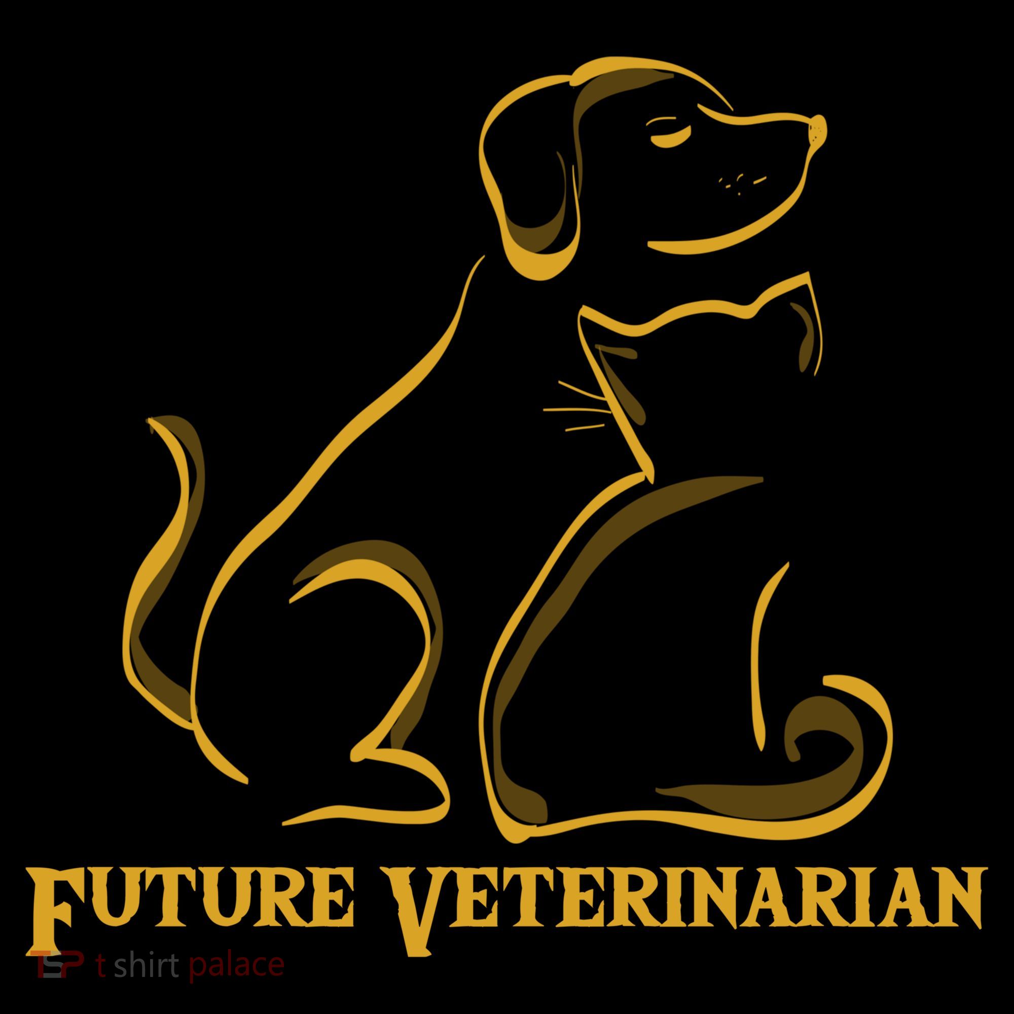 Future Veterinarian Gift Fun Vet Student Gift Women's Hoodie