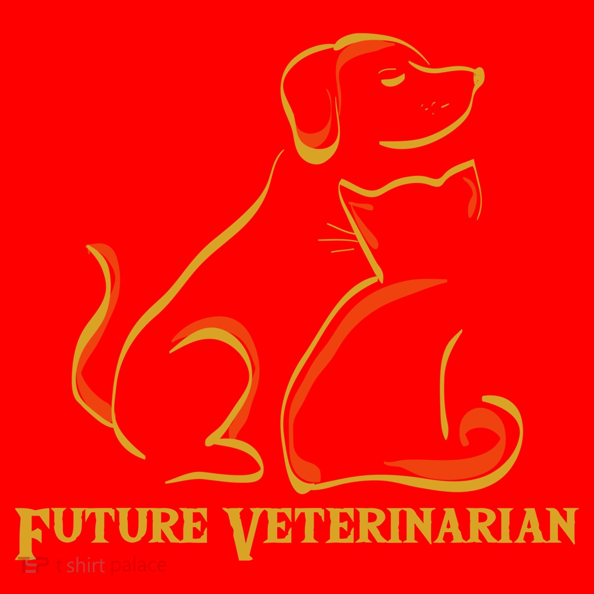 Future Veterinarian Gift Fun Vet Student Gift Santa Hat