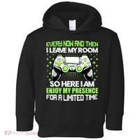 Funny Video Games Every Now And Then I Leave My Room Gaming Toddler Hoodie thumb 0