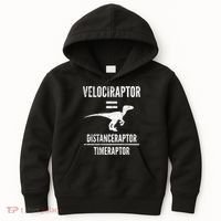 Funny Velociraptor Gift With Science Pun Dad Joke Physics Kids Hoodie thumb 0