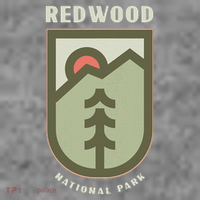 Family Vacation Gift Redwood National Park Toddler Hoodie thumb 2