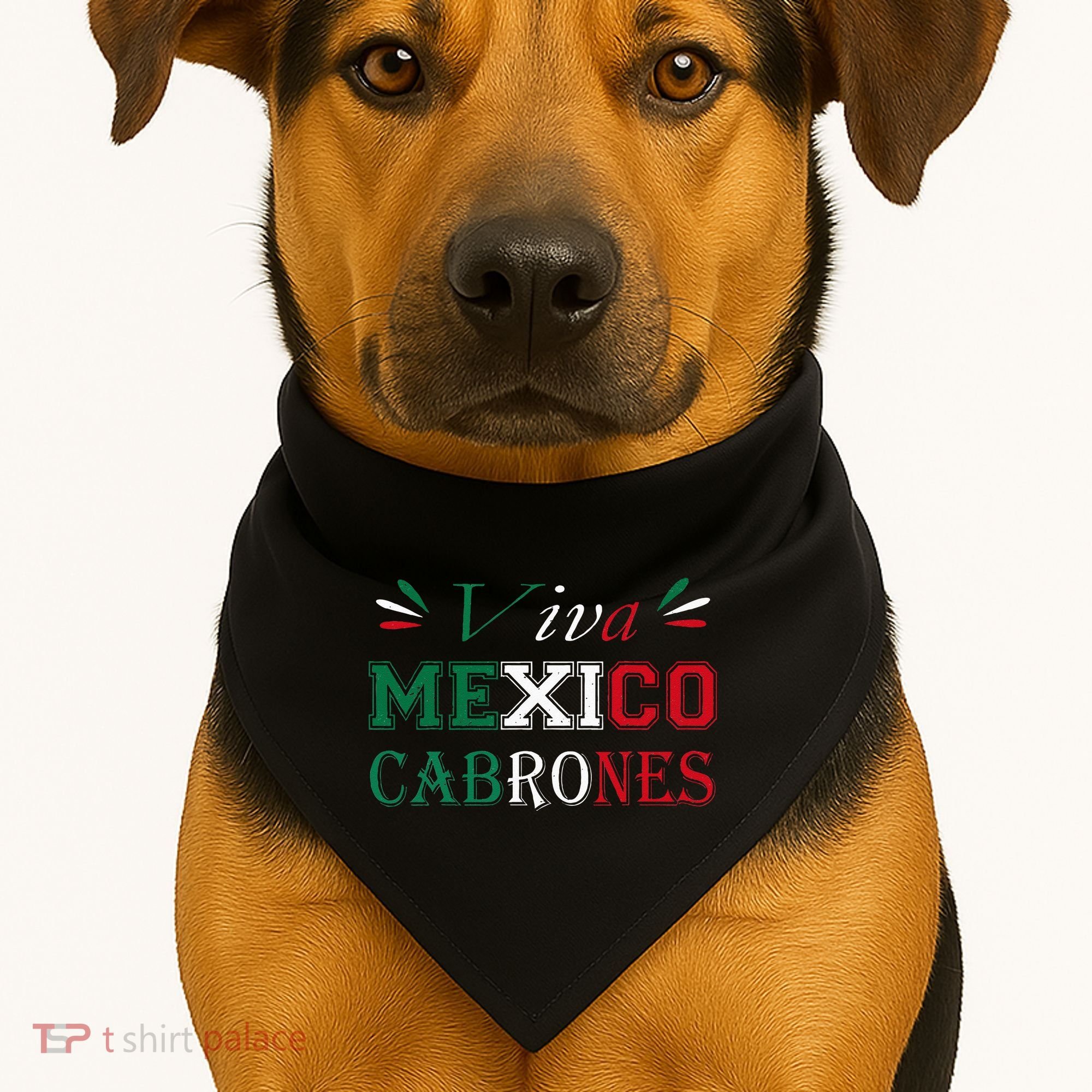 Funny Viva Mexico Cabrones Mexico Independence Flag Pride USA-Made Doggie Bandana